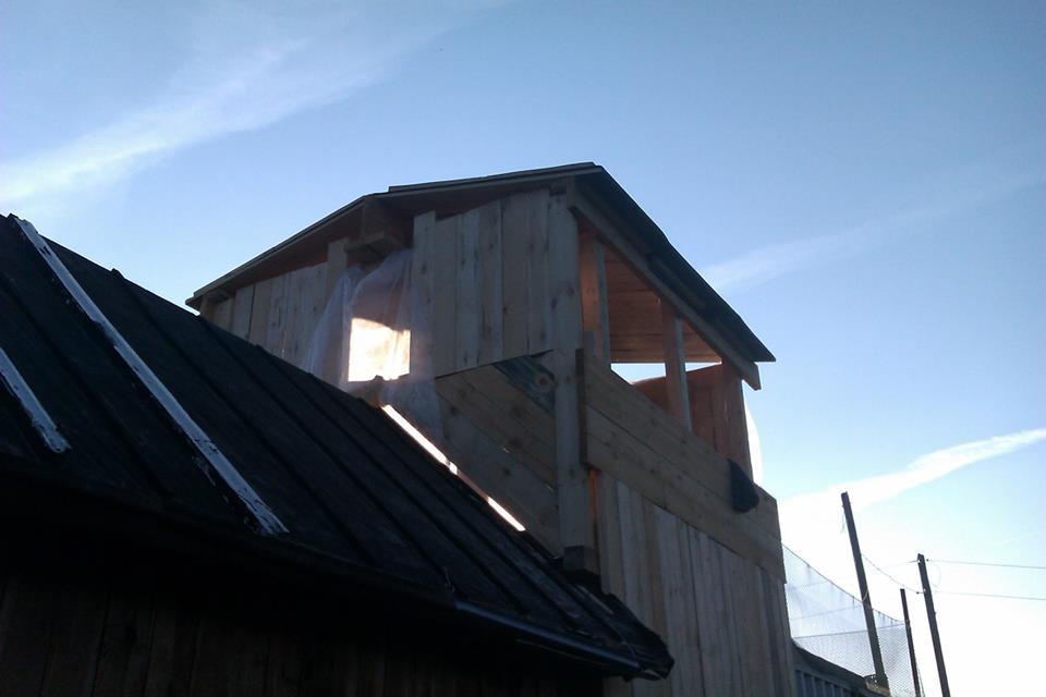 House from the container in the garden