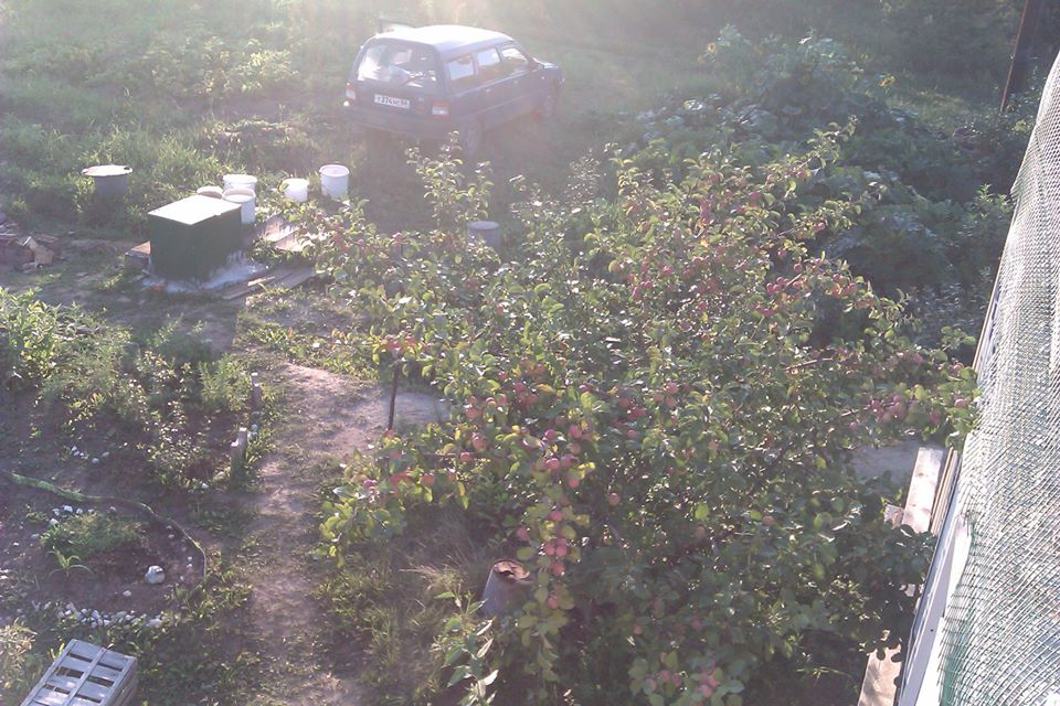 House from the container in the garden