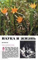 Наука и жизнь 1983 год, № 05