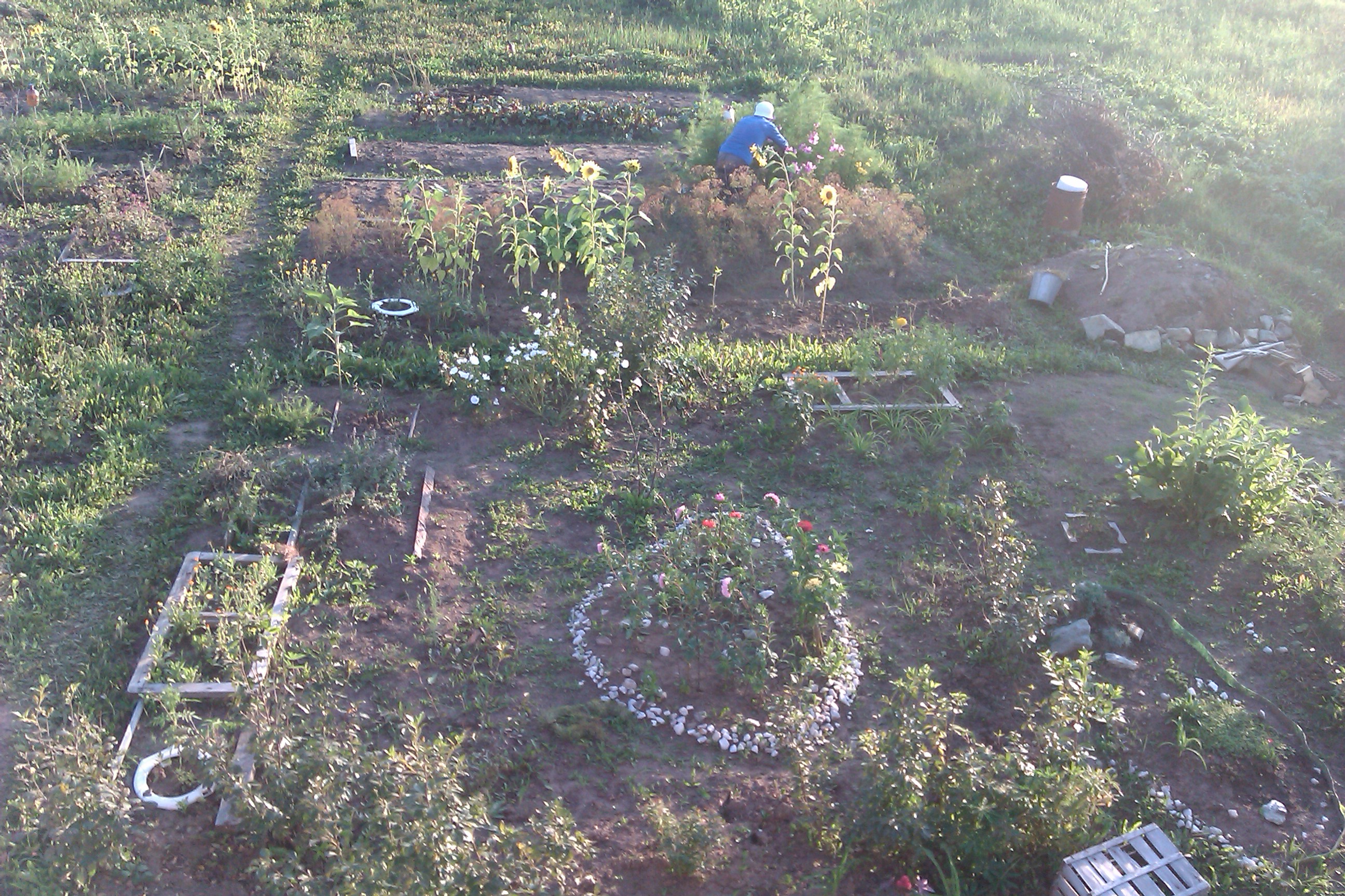 House from the container in the garden