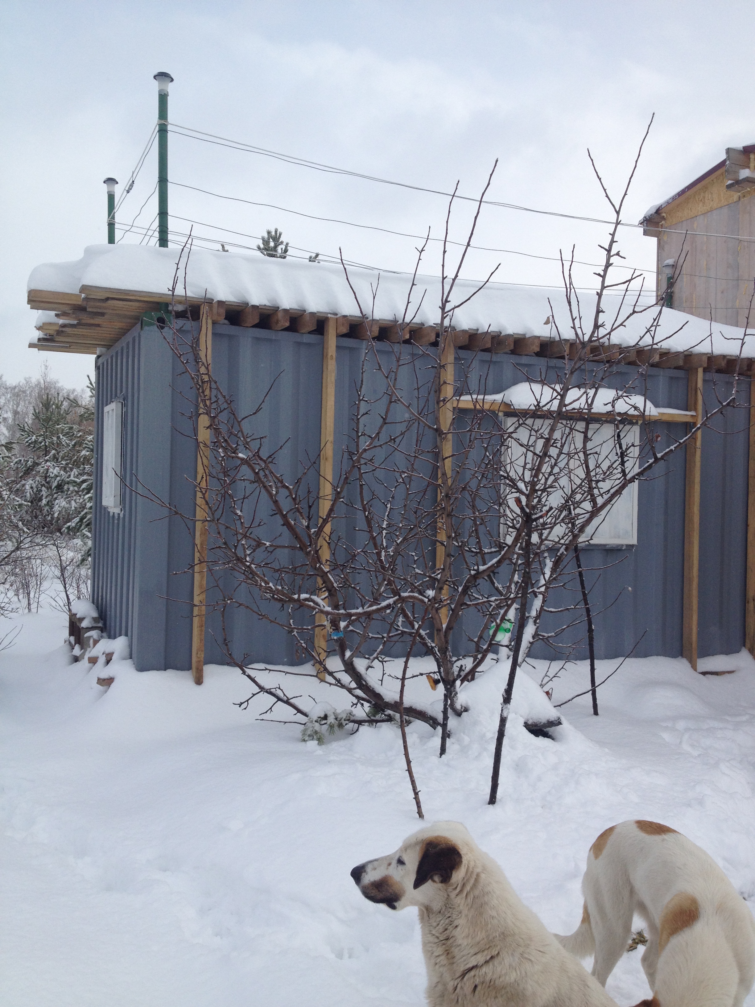 House from the container in the garden