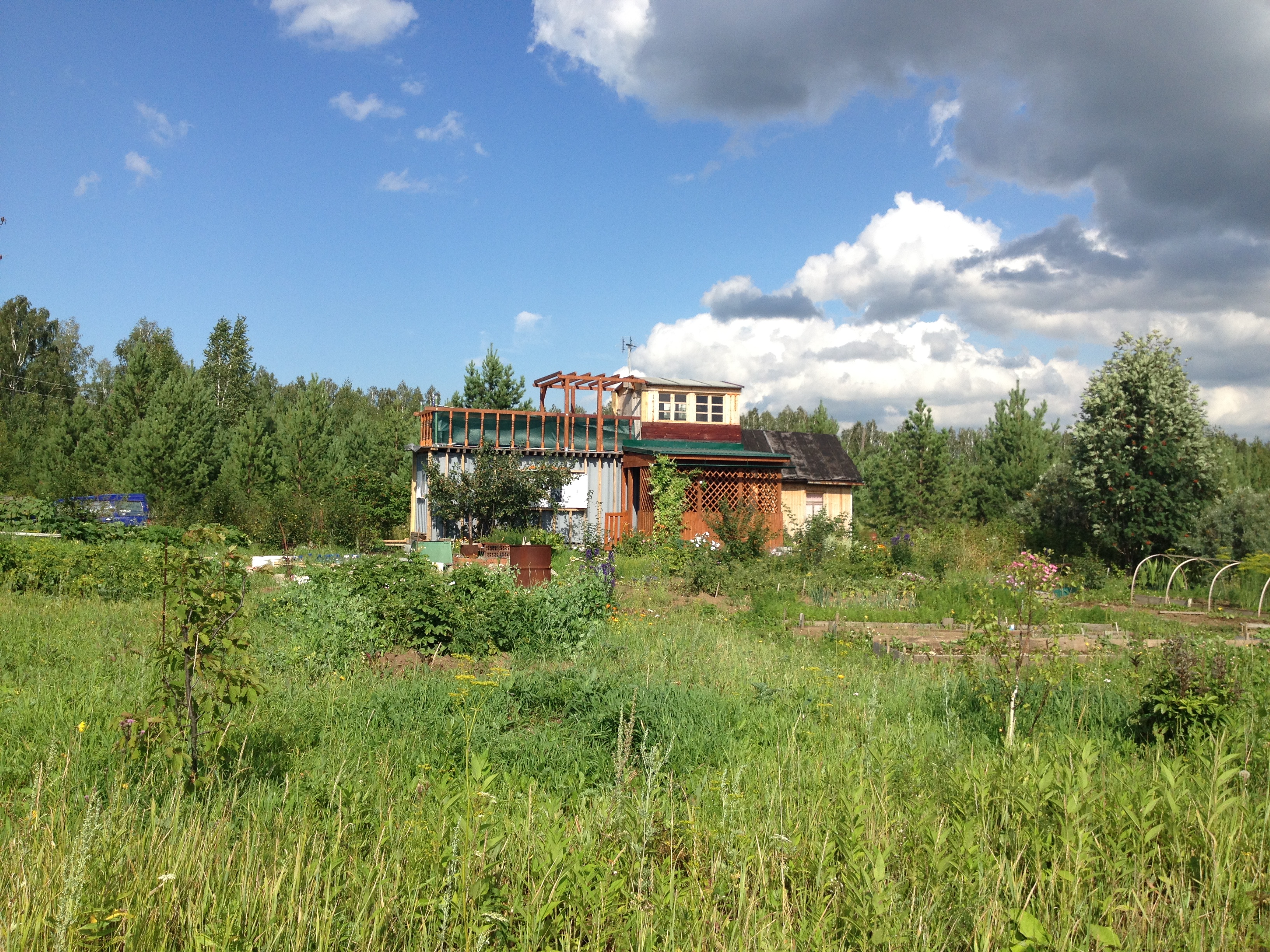 House from the container in the garden