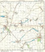 Сборник топографических карт СССР. N-37-131-b