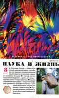 Наука и жизнь 2007 год, № 08