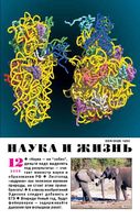 Наука и жизнь 2009 год, № 12