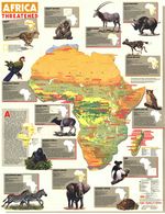 Africa Threatened (1990)